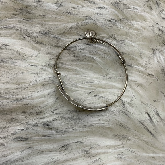 Alex and Ani Bracelet Stack - Picture 11 of 14